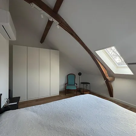 Prachtig En Ruim In Centrum アパート ロヘム